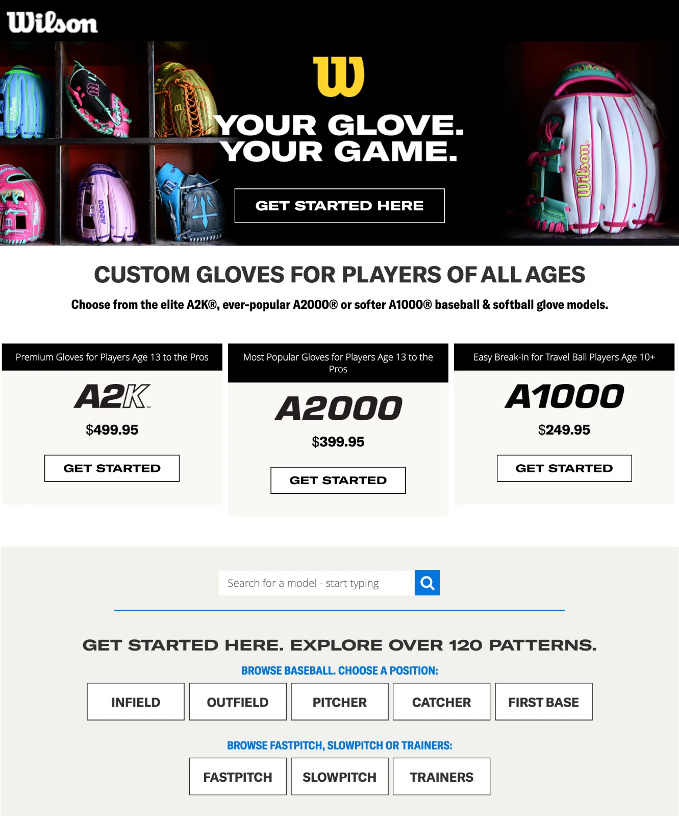 Wilson Sporting Goods project preview